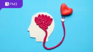 tipos de inteligência emocional